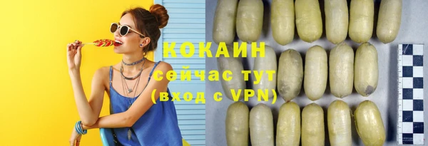 ешки Алексеевка