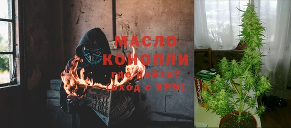 хмурый Арсеньев