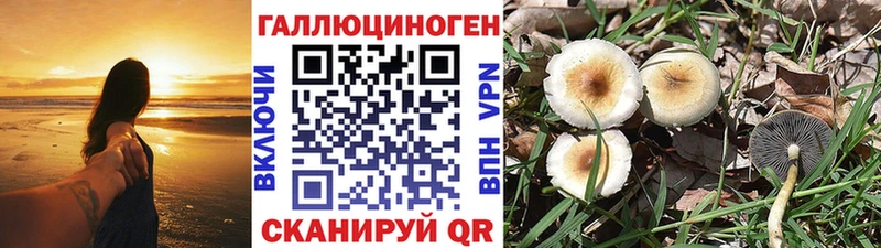 Галлюциногенные грибы MAGIC MUSHROOMS  ОМГ ОМГ маркетплейс  Заводоуковск 